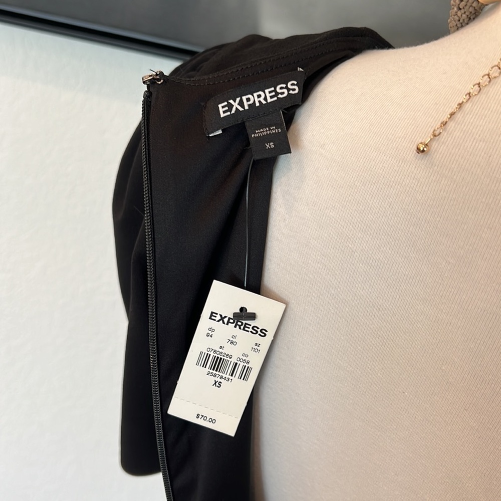 Express Dress - Picture 5 of 5
